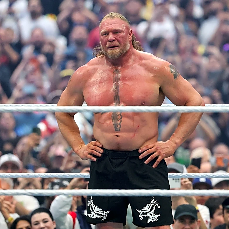 Would Brock Lesnar return to UFC after retiring from wrestling?