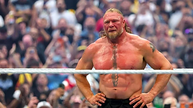 Would Brock Lesnar return to UFC after retiring from wrestling?