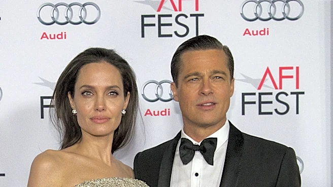 Brad Pitt requests Angelina Jolie's income records amid winery dispute