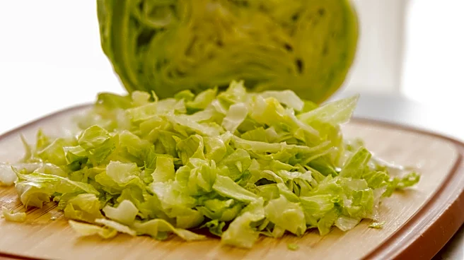 Cyclospora cases top 10,000, reach 47 states, CDC says in update