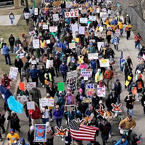 Half of Americans feel free to express political views, study finds