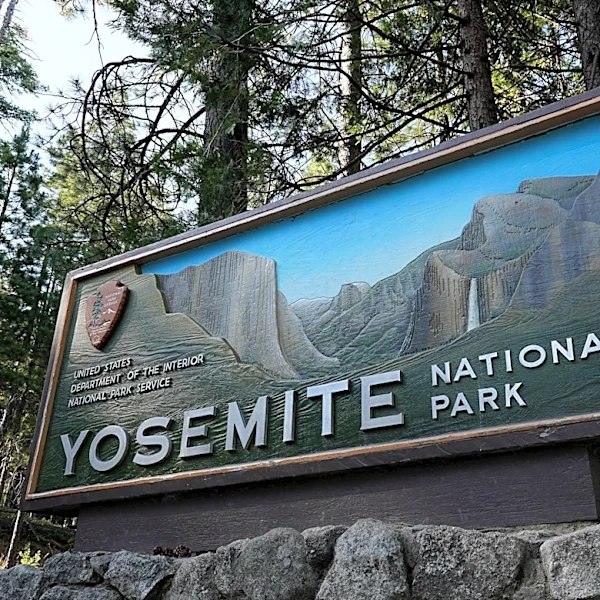 It's so hot, Yosemite National Park warns tree branches may break