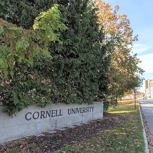 Cornell bans wild game in dorms after 2025 black bear skinning