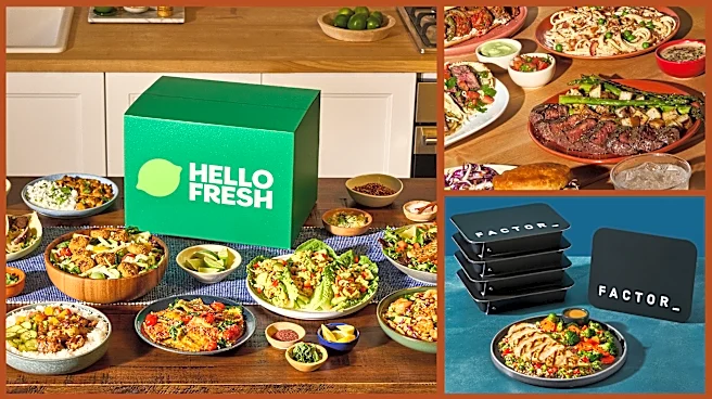 13 meal kit and grocery delivery deals you shouldn't miss this August