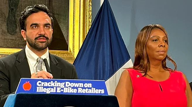 How NYC is cracking down on e-bikes and e-scooters after crashes