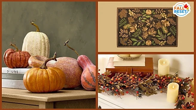 Fall decor is here. Shop 15 cozy home finds before autumn arrives