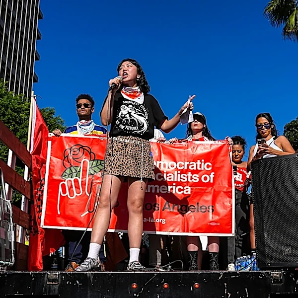 How democratic socialism became Democrats' new purity test | Opinion