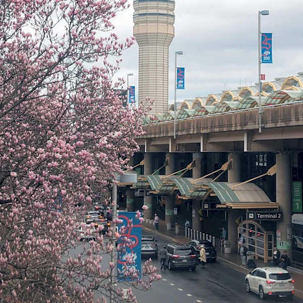 How the Freedom 250 Grand Prix will affect DC traffic - and air travel