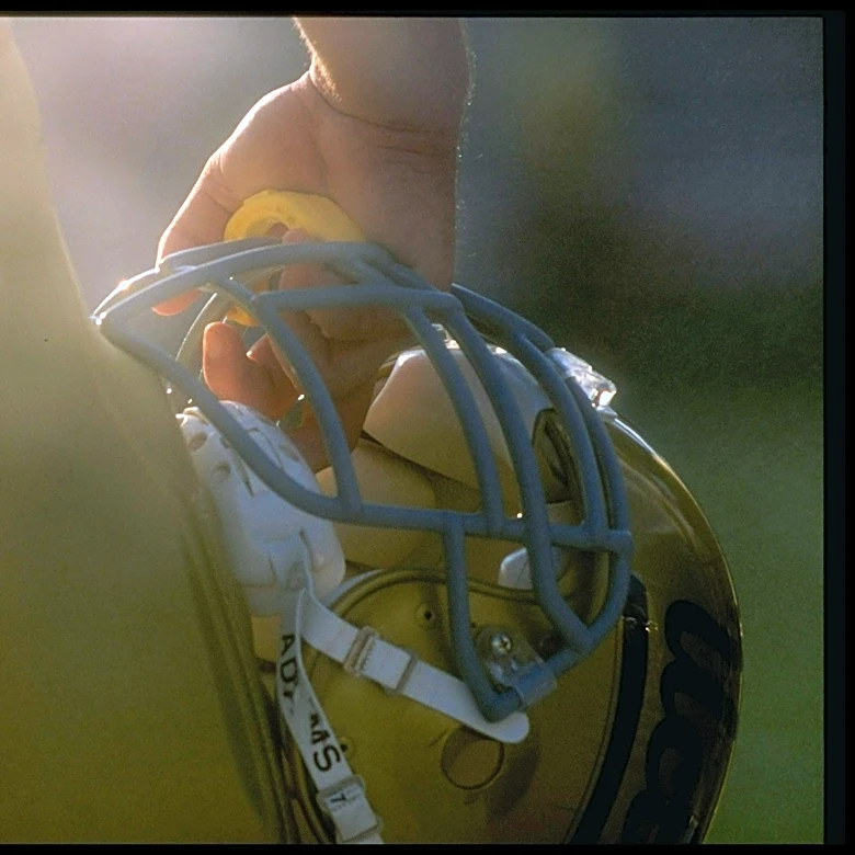 Venomous snake found inside Arkansas high school football player's helmet