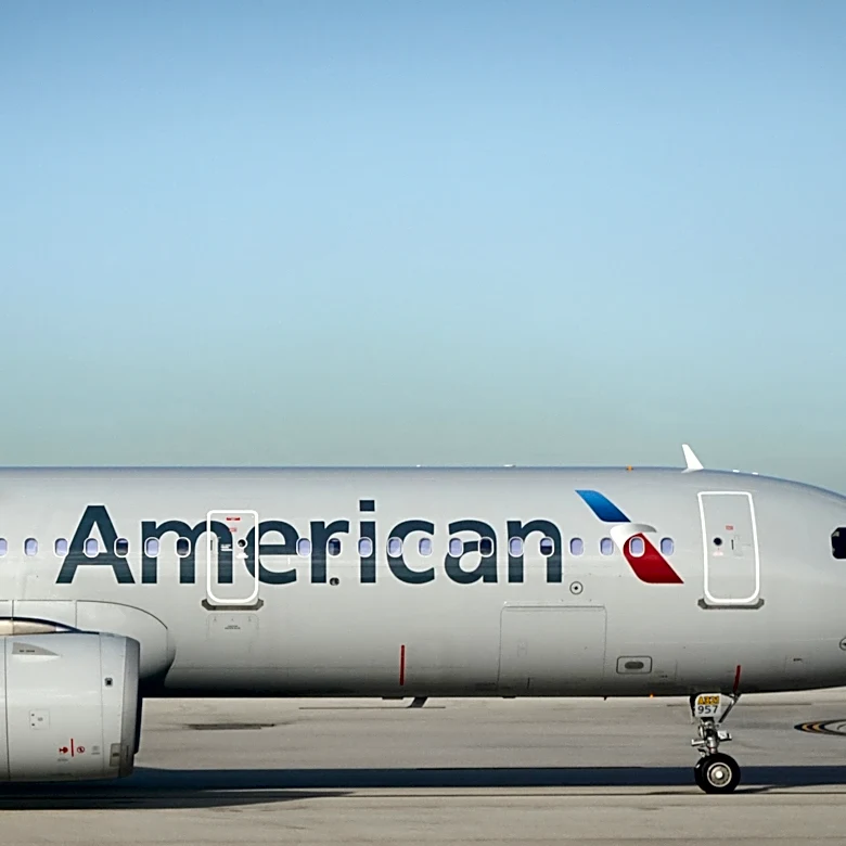Flames erupt from American Airlines plane after bird strike