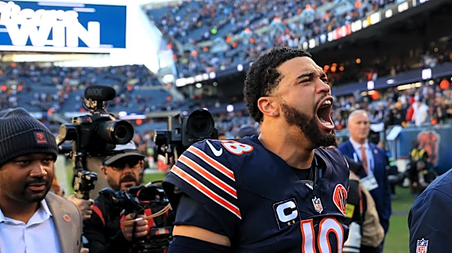Advice to Chicago folks who think Bears won't leave: Look around the NFL | Opinion
