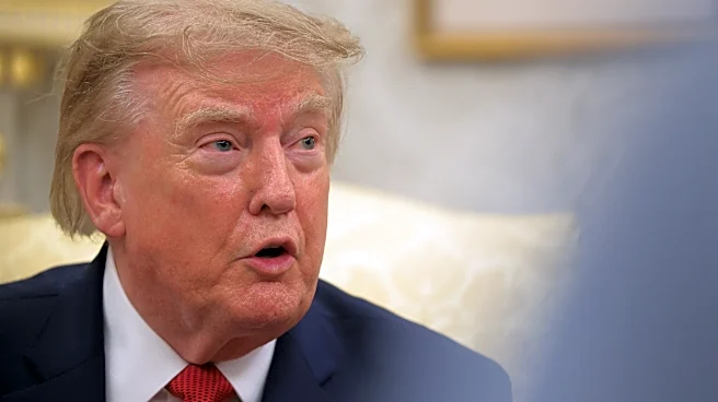 Trump votes by mail again in Florida Republican primary