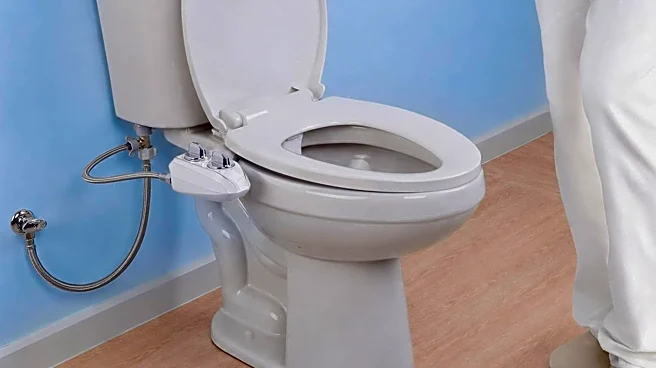 I tried a bidet years ago. Now I recommend them to everyone