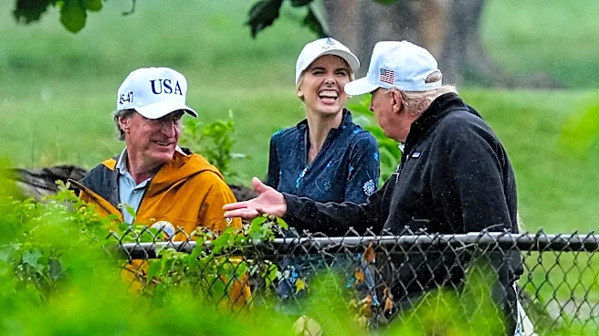Who is Natalie Harp? Trump's aide explained