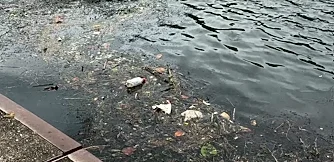 Pittsburgh’s rivers safe to swim in? New E. coli data raises concerns