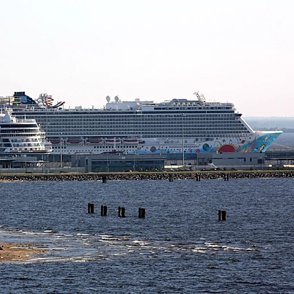 11 cruise crew members arrested for alleged child sex abuse images
