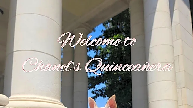 Watch 2-year-old chihuahua have the best day at her quinceañera