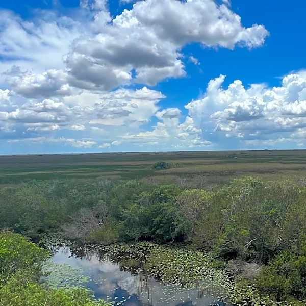 Florida Everglades wildfires burn 11,000 acres, close part of the park