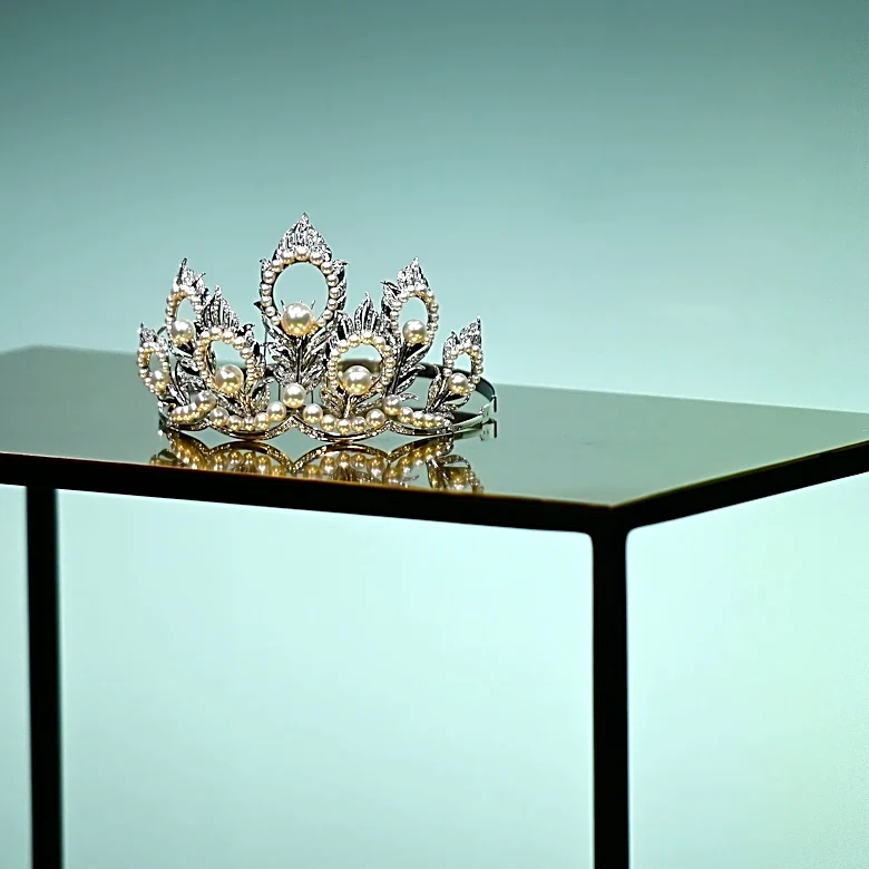 Dethroned Miss North Carolina USA sues Miss USA, alleges defamation