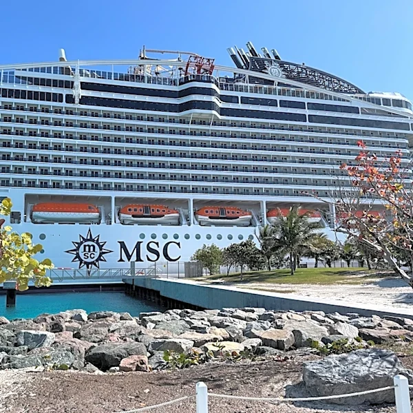 MSC cruise lifeguard allegedly had sexual contact with underage guest