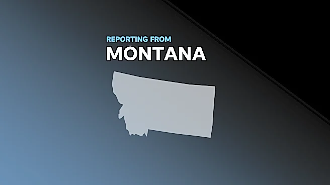 Multiple people dead, including children, in shooting and house fire