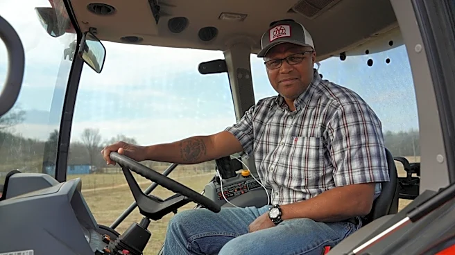'Pitting farmer' against 'consumer,' GA cattleman says of beef imports