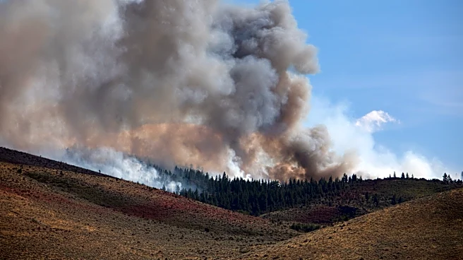 Is smoke from Nevada's Hawk Fire affecting California air quality?