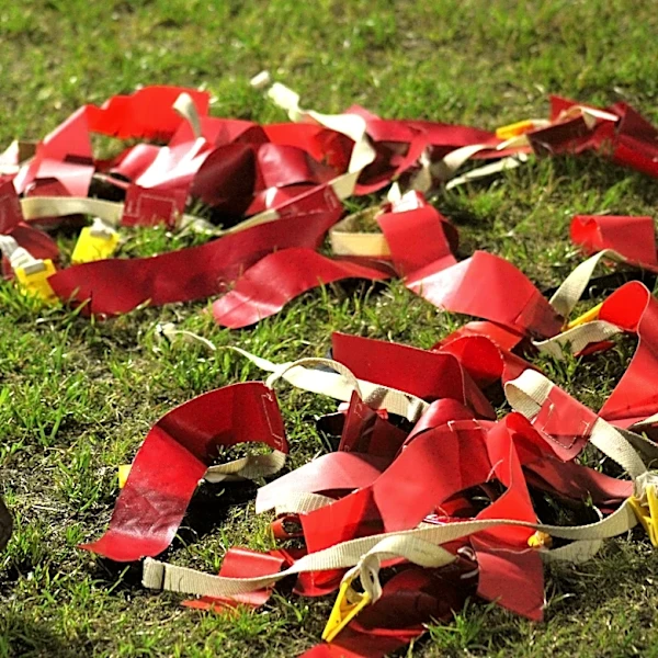 Illinois high school flag football scores