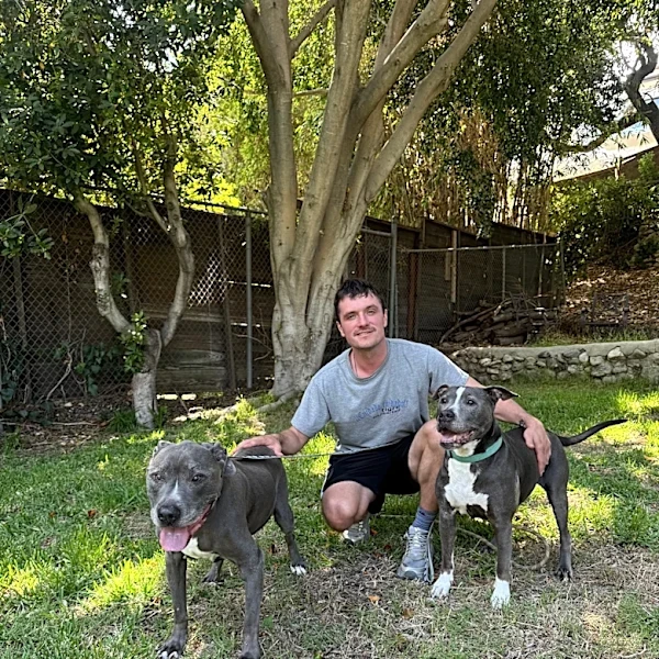 From Peeta to pet parent: Josh Hutcherson's dog adoption story