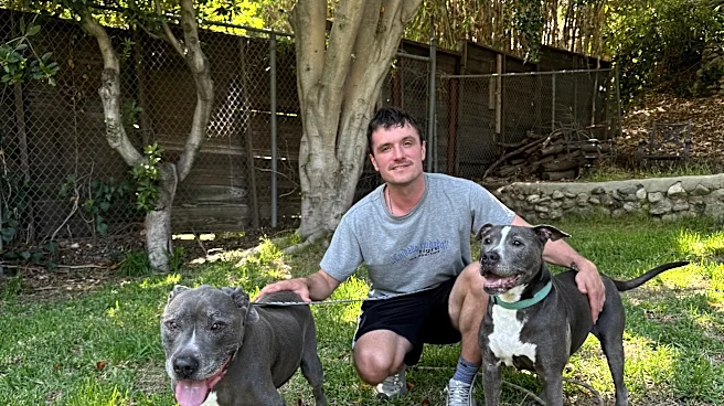 From Peeta to pet parent: Josh Hutcherson's dog adoption story