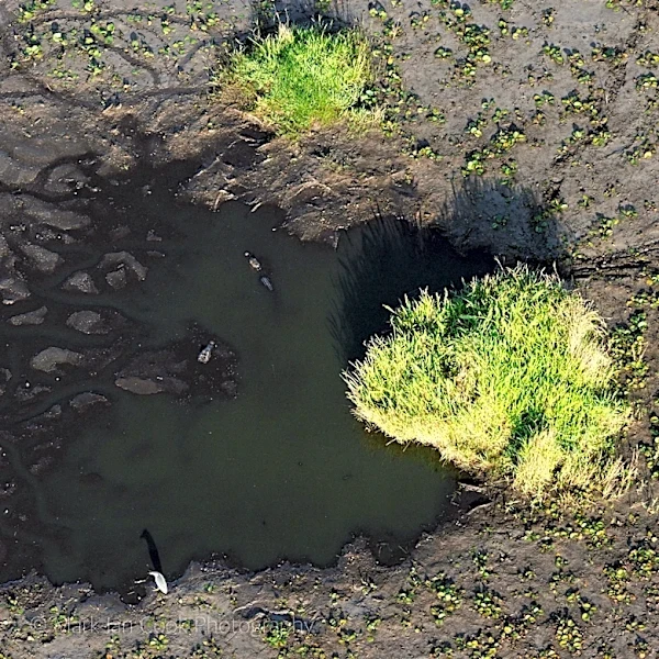 Extreme drought persists in parts of Miami-Dade, Broward