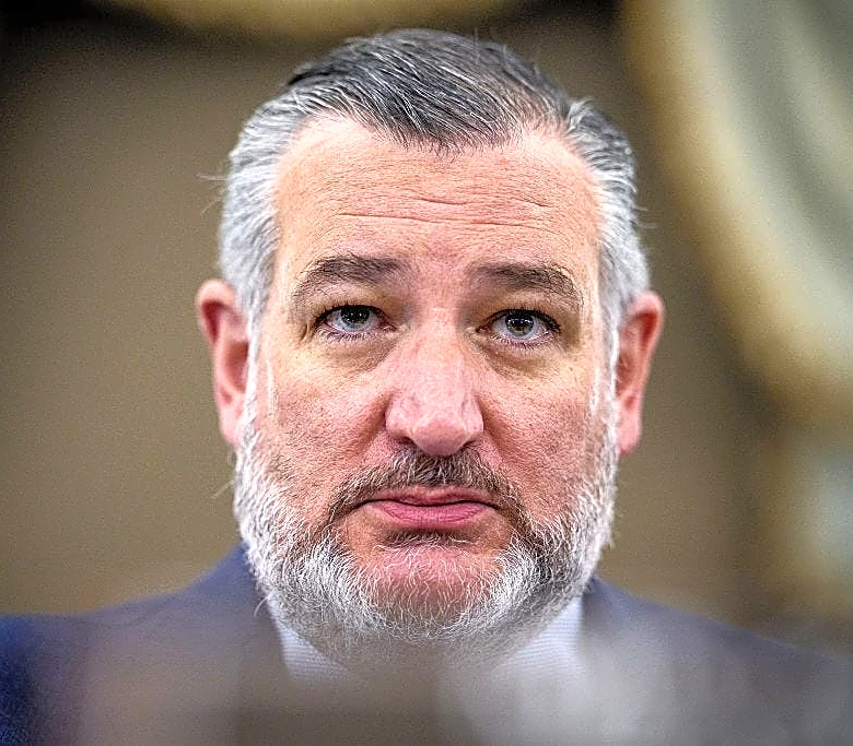 ‘Real fight’: Cruz says Texas election hinges on voter turnout