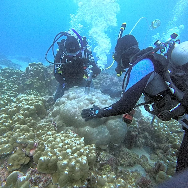 El Niño is being supercharged by climate change, study finds