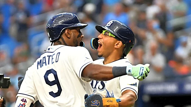 Rays win crucial vote for new stadium in Tampa. Fear-mongering works. | Opinion