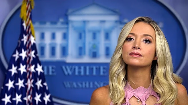 Kayleigh McEnany, a pink pacifier and a call from Trump