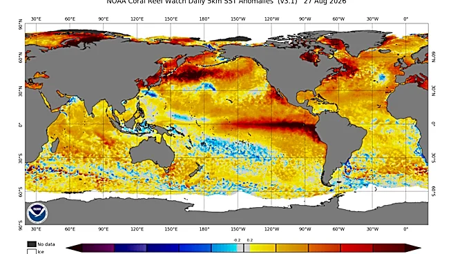 El Niño puts Earth in 'uncharted territory.' Here's what could happen