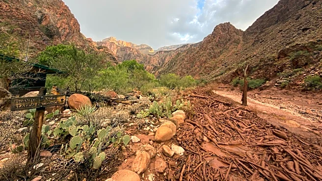 2 dead, roughly 15 missing as flash flooding hits Grand Canyon: Updates