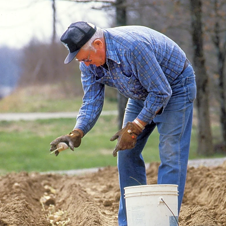 Florida cities sweep top 3 places for retirees in 2026