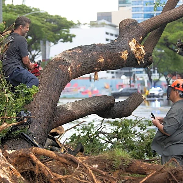 Hurricanes, tropical storms are doing something odd in 2026