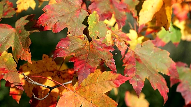 Pittsburgh to see warm weather, less rain in September as fall starts