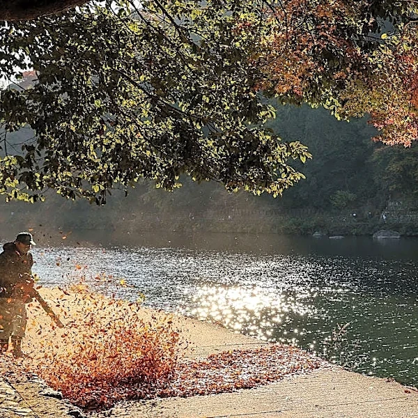 As first day of fall draws near, here's when leaves begin to change