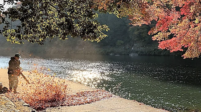 As first day of fall draws near, here's when leaves begin to change