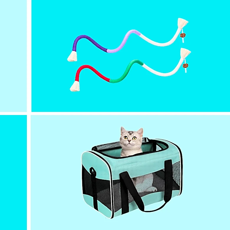 I'm a cat owner. Here are the 10 Amazon Labor Day deals I recommend