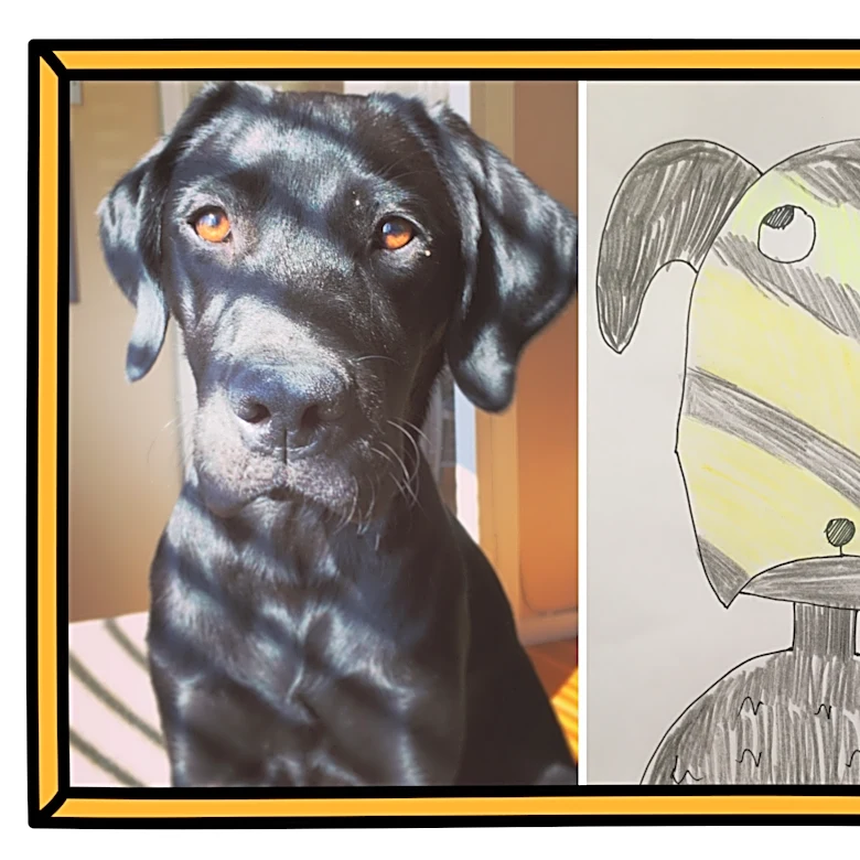 He made fun of his art. Now the world wants a ‘rubbish’ pet portrait.
