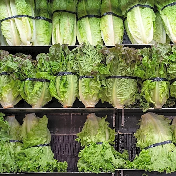 Cyclospora season is 'over.' See map of states still reporting cases