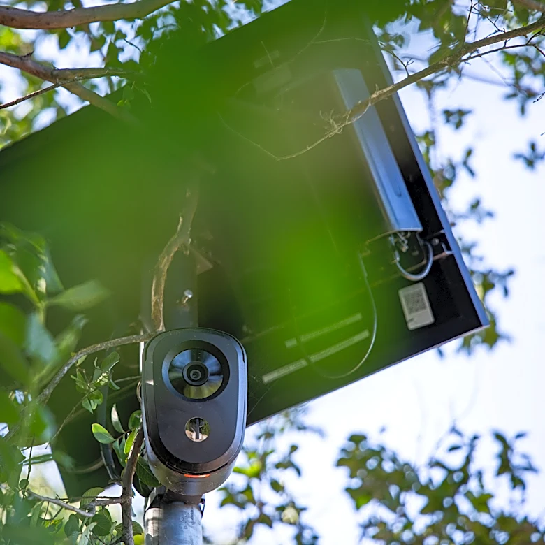 Texas senator calls Flock cameras 'warrantless mass surveillance'