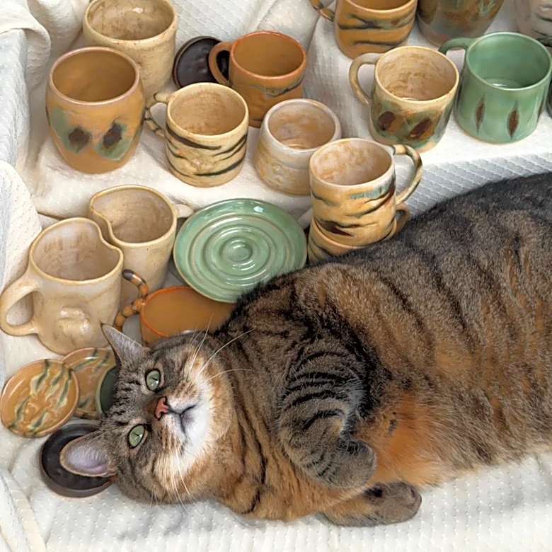 A tabby cat helped make this pottery collection. It sold out in 10 minutes.