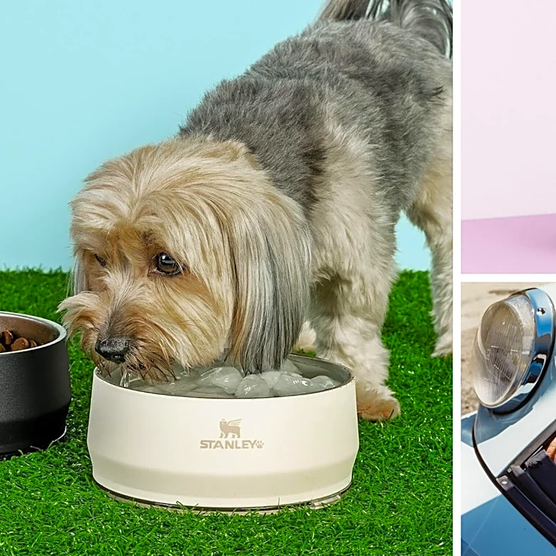 Stanley's best Labor Day deals aren't just on tumblers this year