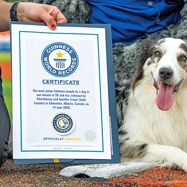 Watch a dog's joyous jumps earn a Guinness World Record