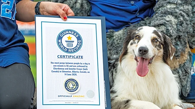 Watch a dog's joyous jumps earn a Guinness World Record